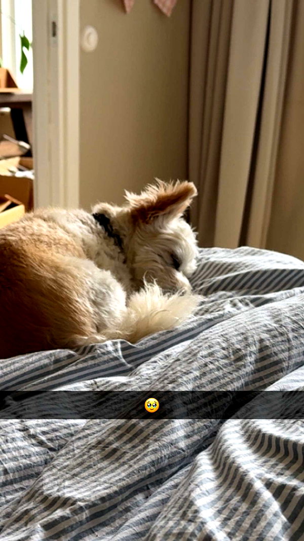 mathilda_bergs snapchat image archive image