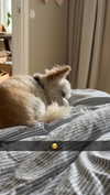 mathilda_bergs Altpins Profile Picture