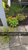 mathilda_bergs Altpins Profile Picture