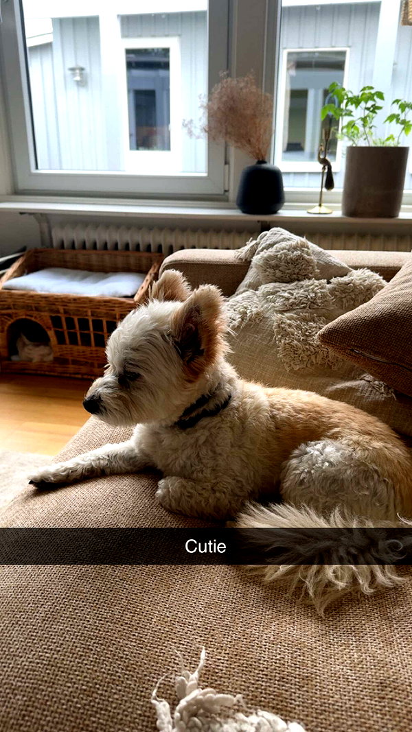 mathilda_bergs snapchat image archive image