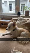 mathilda_bergs Altpins Profile Picture
