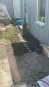 mathilda_bergs Altpins Profile Picture