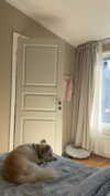 mathilda_bergs Altpins Profile Picture