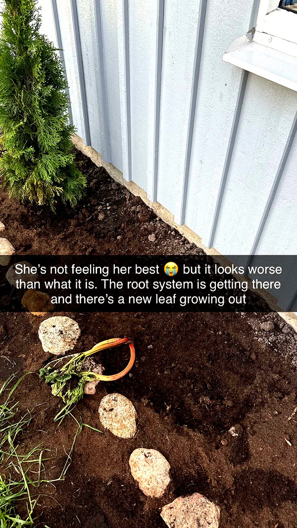 mathilda_bergs snapchat image archive image