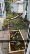 mathilda_bergs Altpins Profile Picture