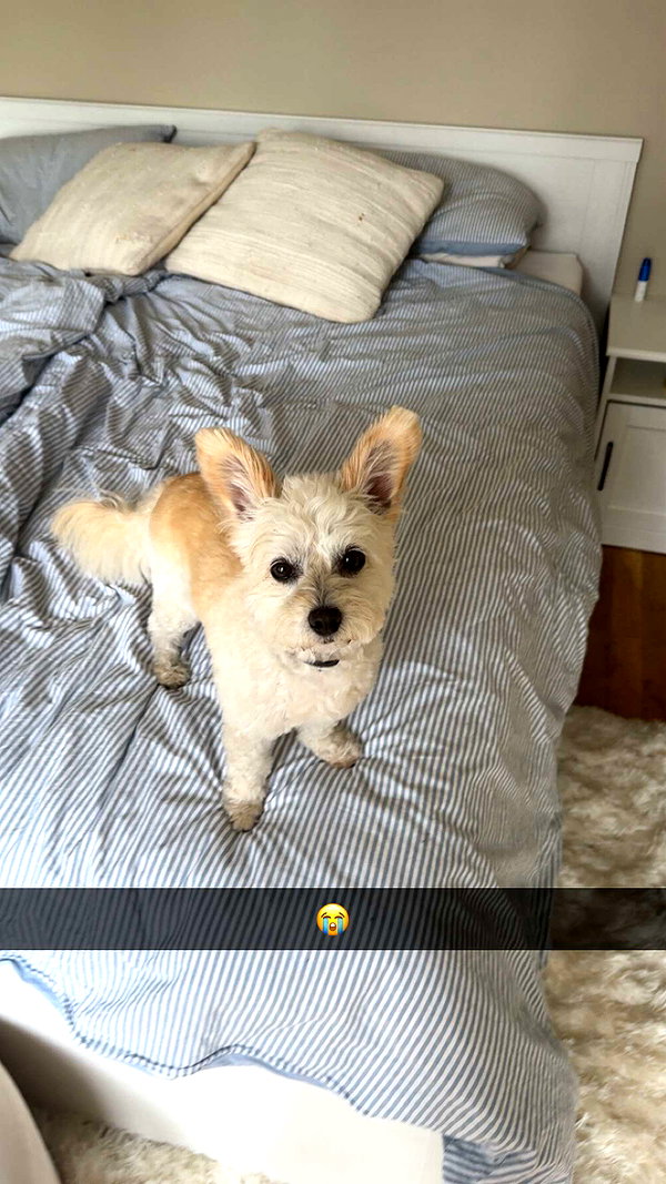 mathilda_bergs snapchat image archive image