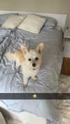 mathilda_bergs Altpins Profile Picture