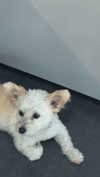 mathilda_bergs Altpins Profile Picture