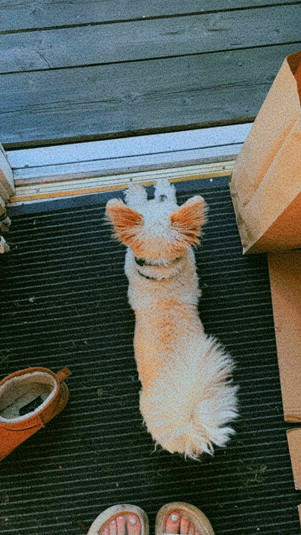 mathilda_bergs snapchat image archive image