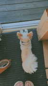 mathilda_bergs Altpins Profile Picture