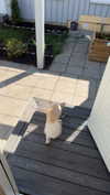 mathilda_bergs Altpins Profile Picture