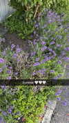mathilda_bergs Altpins Profile Picture