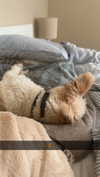 mathilda_bergs Altpins Profile Picture