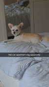 mathilda_bergs Altpins Profile Picture