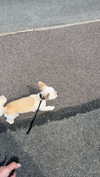 mathilda_bergs Altpins Profile Picture