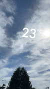 mathilda_bergs Altpins Profile Picture
