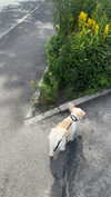 mathilda_bergs Altpins Profile Picture