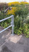 mathilda_bergs Altpins Profile Picture