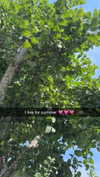 mathilda_bergs Altpins Profile Picture