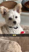 mathilda_bergs Altpins Profile Picture