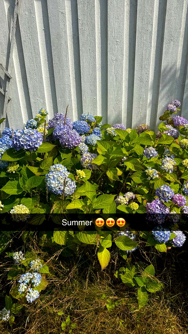 mathilda_bergs snapchat image archive image