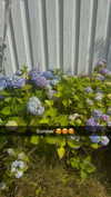 mathilda_bergs Altpins Profile Picture