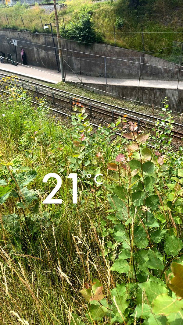 mathilda_bergs snapchat image archive image