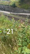 mathilda_bergs Altpins Profile Picture