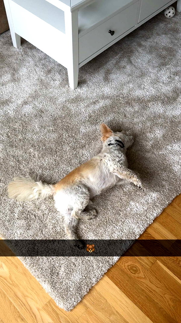 mathilda_bergs snapchat image archive image