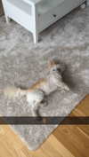mathilda_bergs Altpins Profile Picture
