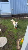 mathilda_bergs Altpins Profile Picture