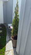 mathilda_bergs Altpins Profile Picture