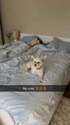 mathilda_bergs Altpins Profile Picture