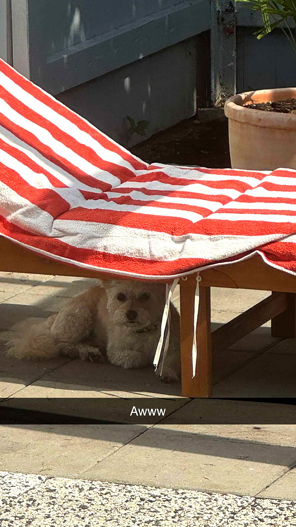 mathilda_bergs snapchat image archive image