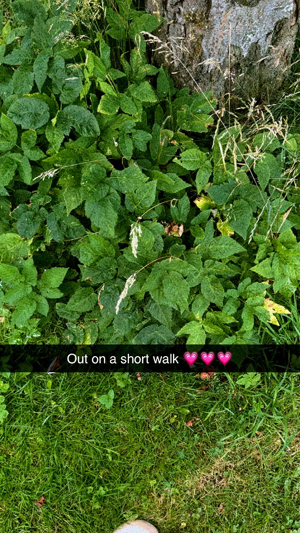 mathilda_bergs snapchat image archive image