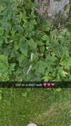 mathilda_bergs Altpins Profile Picture