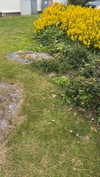 mathilda_bergs Altpins Profile Picture