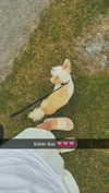 mathilda_bergs Altpins Profile Picture