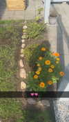 mathilda_bergs Altpins Profile Picture