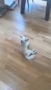mathilda_bergs Altpins Profile Picture