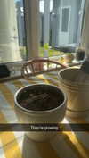 mathilda_bergs Altpins Profile Picture