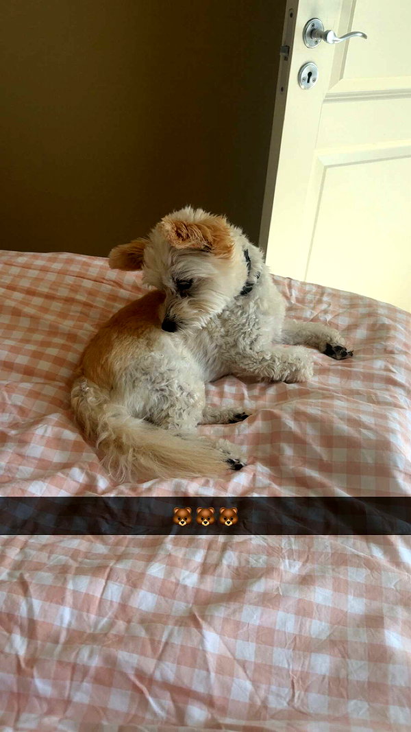 mathilda_bergs snapchat image archive image
