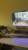 mathilda_bergs Altpins Profile Picture
