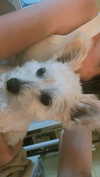 mathilda_bergs Altpins Profile Picture