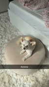 mathilda_bergs Altpins Profile Picture