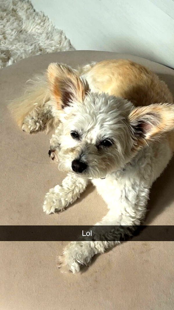 mathilda_bergs snapchat image archive image