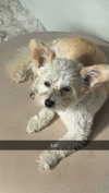 mathilda_bergs Altpins Profile Picture