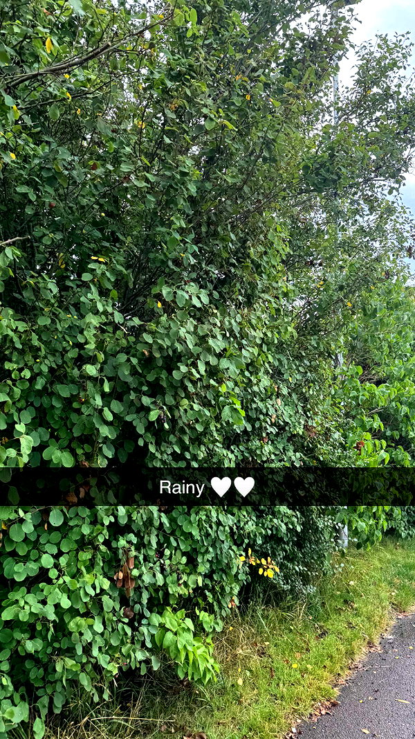 mathilda_bergs snapchat image archive image