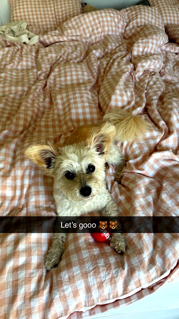 mathilda_bergs snapchat image archive image