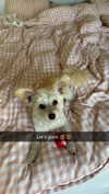 mathilda_bergs Altpins Profile Picture